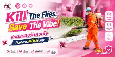 Kill The Flies, Save The Vibe! สยบแมลงวันกวนใจ คืนความคลีนขั้นสุด